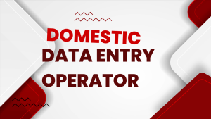 domestic data entry operator